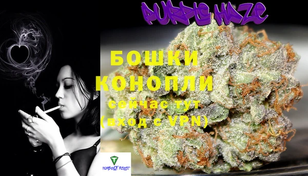 ГАЛЛЮЦИНОГЕННЫЕ ГРИБЫ Инта