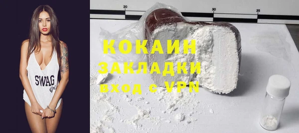 ГАЛЛЮЦИНОГЕННЫЕ ГРИБЫ Инта