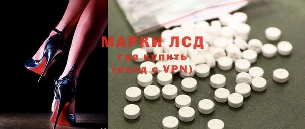 ГАЛЛЮЦИНОГЕННЫЕ ГРИБЫ Инта