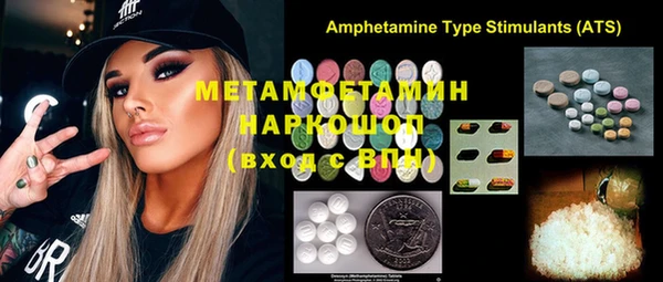 ГАЛЛЮЦИНОГЕННЫЕ ГРИБЫ Инта