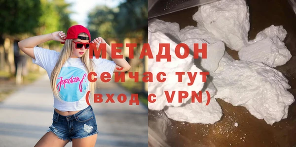 ГАЛЛЮЦИНОГЕННЫЕ ГРИБЫ Инта