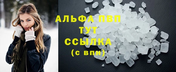 ГАЛЛЮЦИНОГЕННЫЕ ГРИБЫ Инта