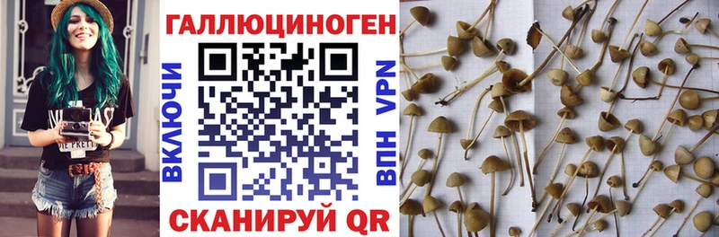 Галлюциногенные грибы ЛСД  Кингисепп 