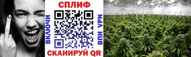 darknet Telegram  наркотики  Кингисепп  Канабис план 